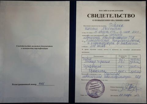 Диплом / сертификат 19