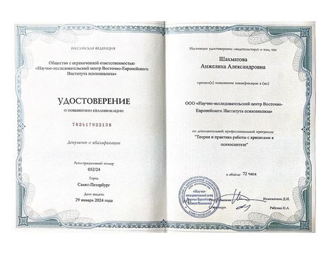 Диплом / сертификат 4